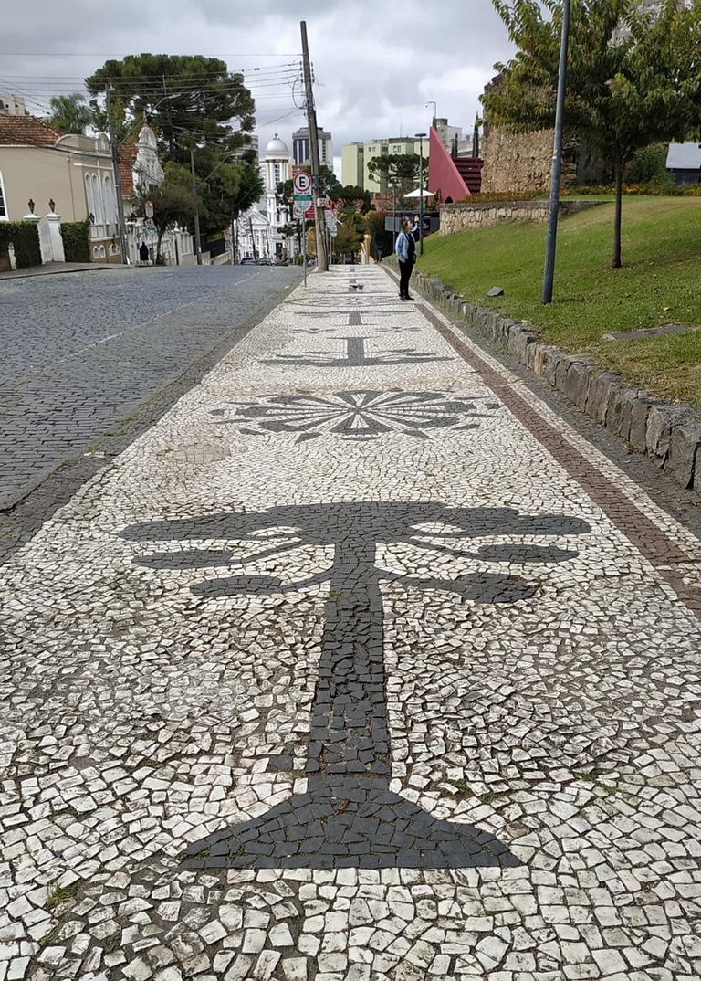 Араукария и пиньяу на тротуаре в Куритибе