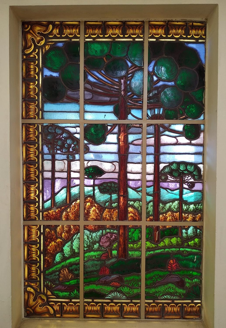 Витраж с Араукарией в Университете Куритибы